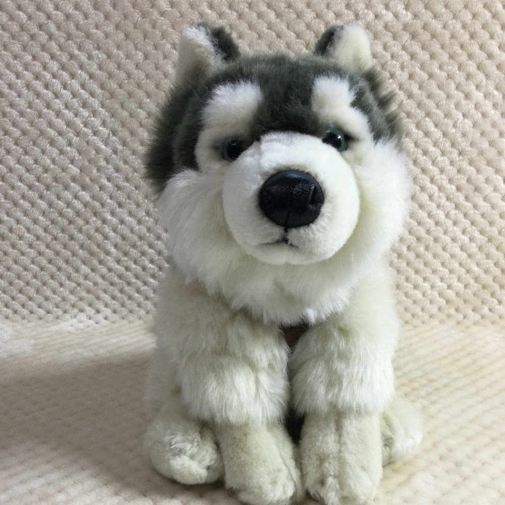 Vancouver Aquarium Plush Fluffy Siberian Husky with Harness Wolf Stuffed Animal